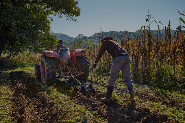 Farmers working in a field using dangerous equipment